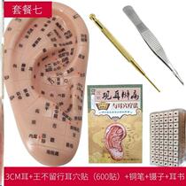 Ear bean paste Ear acupoint model Household ear point paste Vision eye Wang does not leave seed ear paste reflex area massage