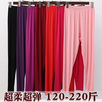 Womens thin modal plus fat pants womens single middle-aged and elderly elastic pants large size warm pants