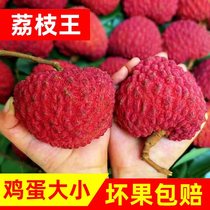 Hainan lychee roi extra-grand lychee frais 10 catties pour la saison femme enceinte de fruits collante riz Gui boîte cadeau Shunfeng gâteau de riz glutineux