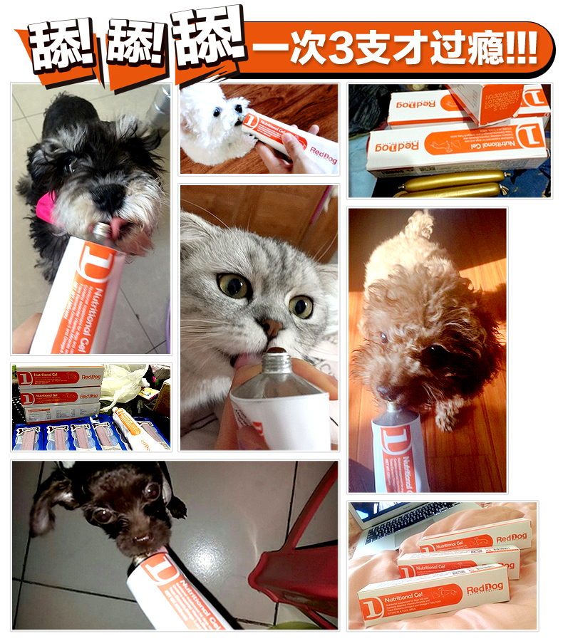 Mỹ RedDog Red Dog Kem dưỡng dinh dưỡng Dog Kem dinh dưỡng Pet Teddy Puppy Cat Kem dinh dưỡng 120g - Cat / Dog Health bổ sung Sữa cho chó con 2 tháng tuổi