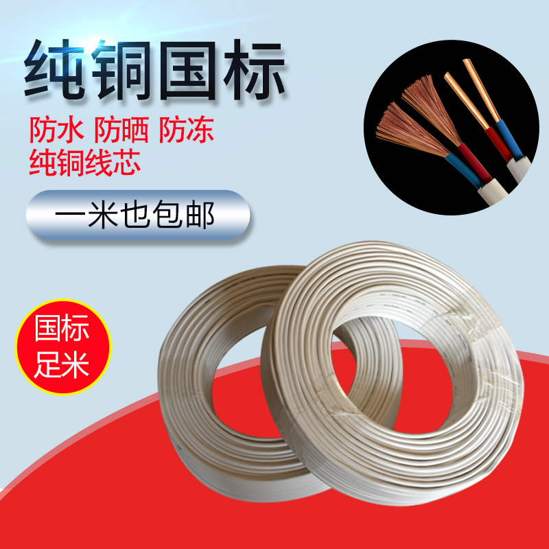 Wire BVVB2 Core 2 5 squared national standard 1 5 4 6 jacket wire double-core copper-wire home cable power cord