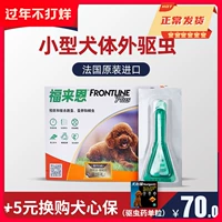 福来恩 Собака -собака демотические домашние животные плюшевые