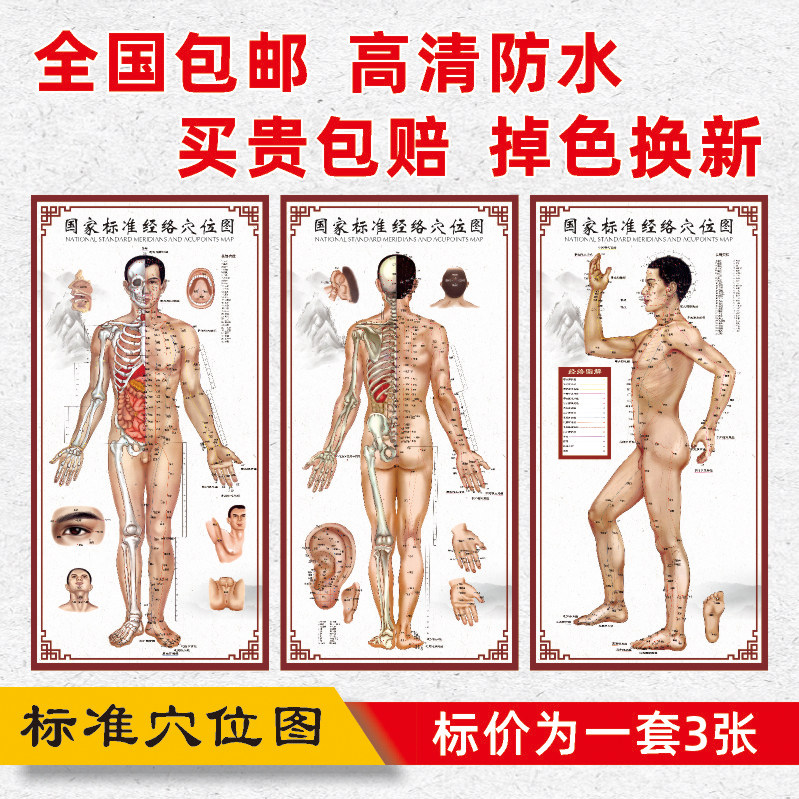 Body Meridians Acupoint Figure Acupuncture-Moxibustion Large Wall Chart Traditional Chinese Medicine Home Body Health Preservation Hall Massage Wall Paste Poster Decoration Painting