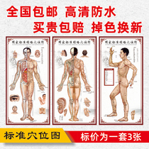 Human body meridian acupoint map Acupuncture wall chart Chinese medicine home body health hall Massage wall sticker poster decorative painting