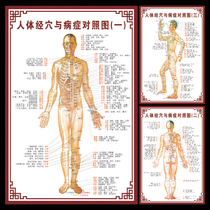 Body meridian and disease control large wall chart Traditional Chinese Medicine moxibustion acupoint chart Acupuncture meridian full body massage Home