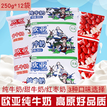 Pure milk 250g*12 Yunnan Dali specialty Eurasian Plateau ecological full fat breakfast dairy products Red jujube sweet milk