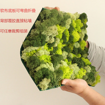 Eternal moss Imported antler moss wall creative logo original design can be customized floral soft packaging finished products