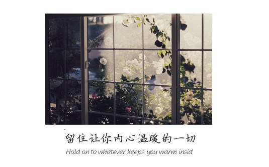 Chaussettes - collants simple - Ref 779869 Image 6