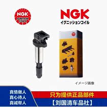 BMW N42 N52 M54 S54 325 330 520 modified NGK ignition coil ignition coil U5055
