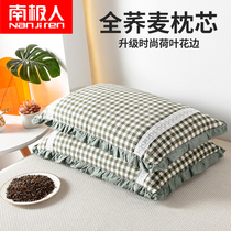 South Pole Buckwheat Pillow Protection Cervical Spine Sleep home Single Men and women All buckwheat shell pillow core pair of beats 2