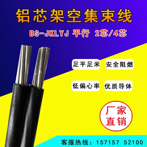 Алюминиевые ядра пустой параллельный лучевой кабель bs-jklyj 2 core 4 Core x10/16/25/35/50 квадратный параллель