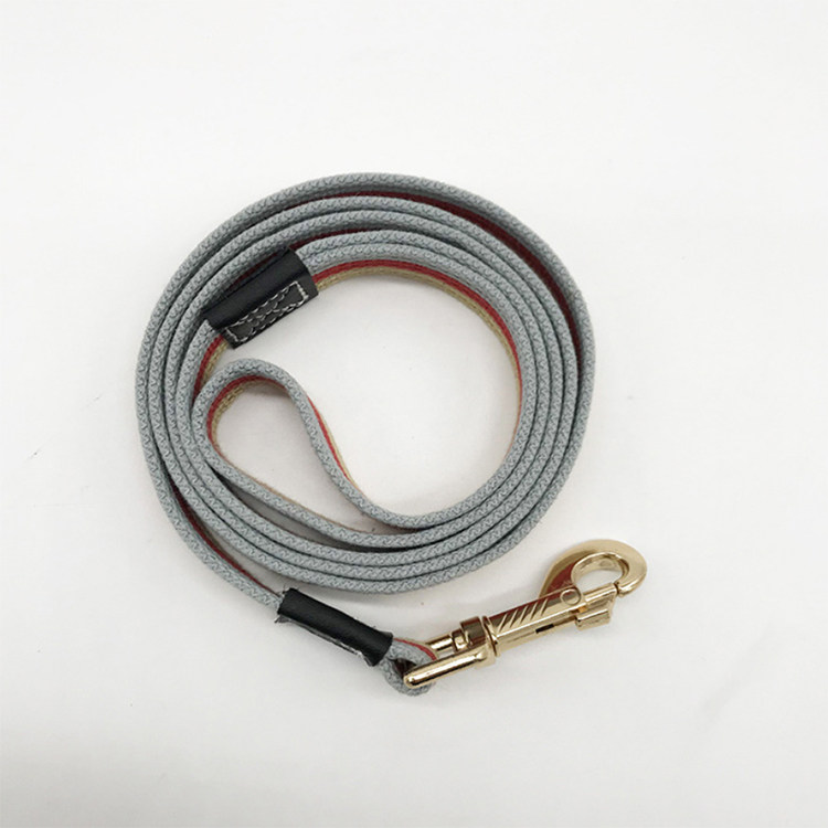 Leash Blue 2m