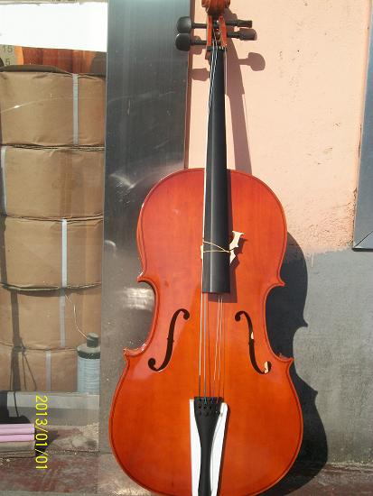 Popularization of the practice of cellulite-the direct marketing of the property and inexpensive manufacturers