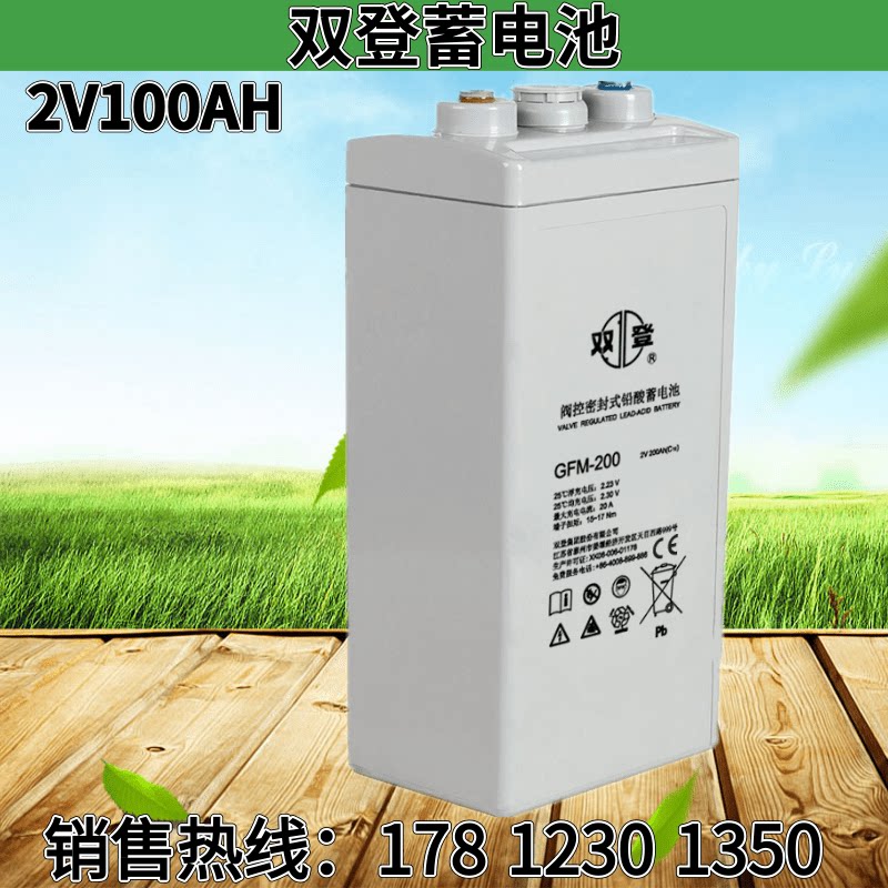 Shuangdeng 2V100AH ​​maintenance-free lead-acid GFM-100 DC screen UPS base station ship solar EPS emergency use