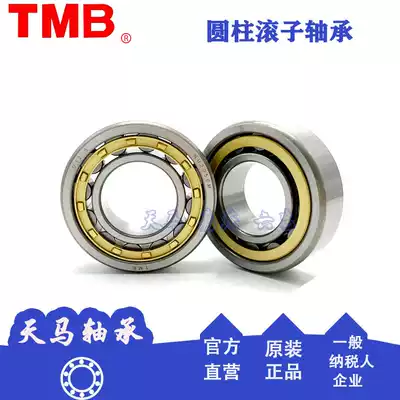 Tianma Class II Cylindrical roller motor bearings NU NJ NUP203 204 205 206 207 E EM