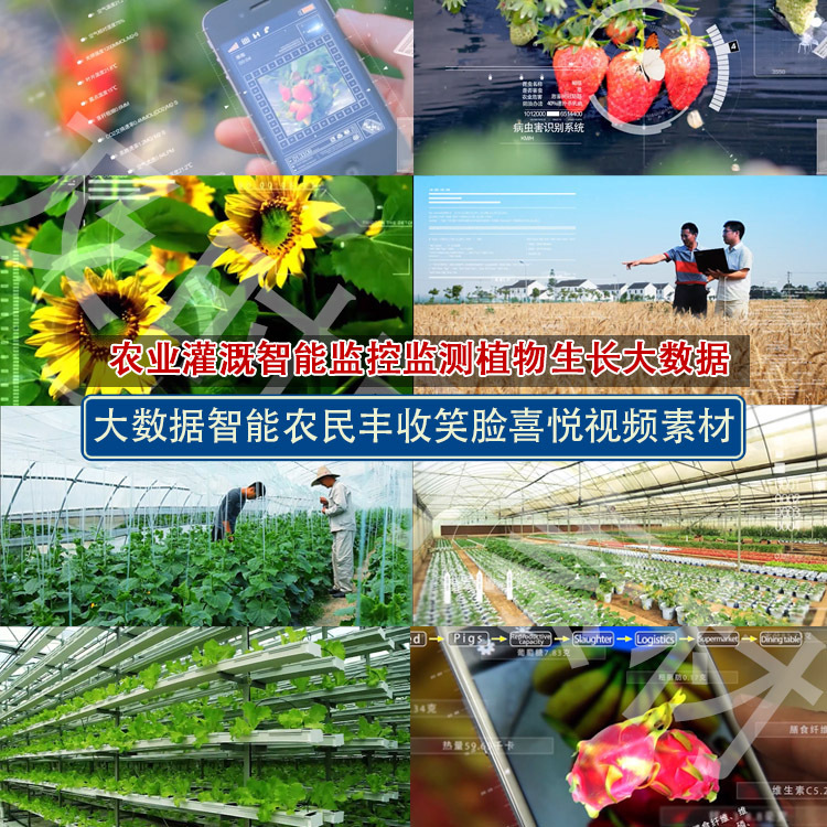 A064 Agricultural Irrigation Intelligent Monitoring Plant Growth Big Data Farmers' Harvests Smiling Faces Joy Video Footage