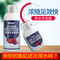Starfish nitrification bacteria aquarium water purification agent nitrifying bacteria digestion of fish farming aquarium water purification
