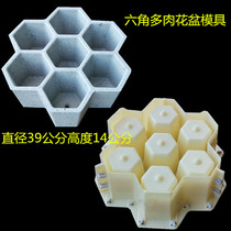 Cement pot mold hexagonal polygon polygon model cement meat pot homemade creative