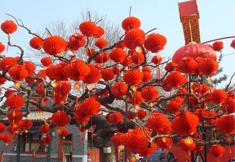 华美宫灯旗帜厂