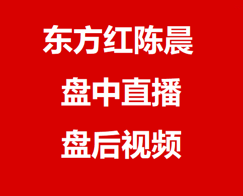 T index of the time-sharing of video disk system after live broadcast disk in Oriental Red Chen Chen