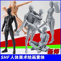 Bandai joint movable body cartoon body model art sketch painting sketch painting puppet hand model