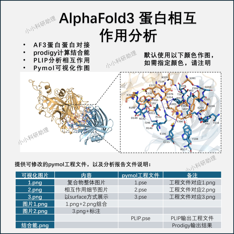 Protein Prediction and Docking Interaction Analysis Protein Prediction and Docking Interaction Analysis
