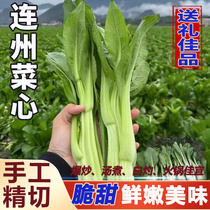 (S.F. Express) Guangdong Lianzhou cabbage sum freshly picked late season vegetables are sweet and crispy