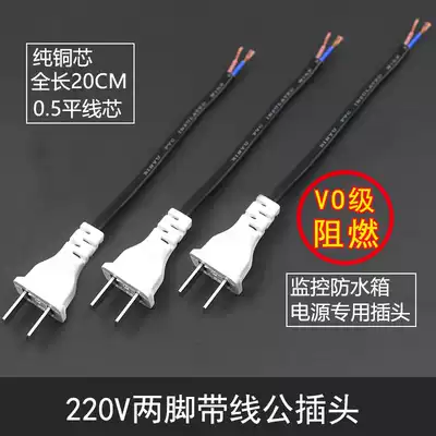 Monitoring dedicated 220V male plug two-pin with wire 2-hole male and female plug 220V power cord two-hole male and female