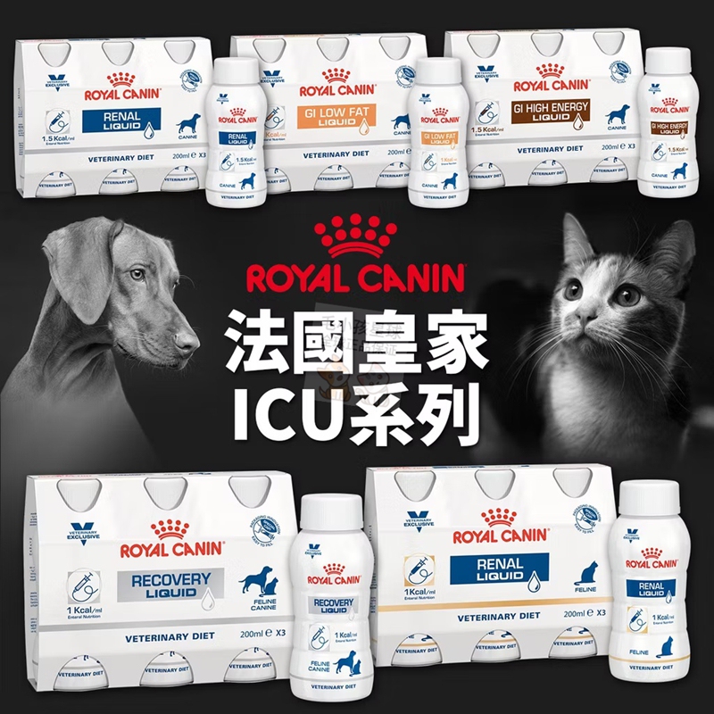 French Royal Icu Kidney Prescription Liquid Rapid Replenishment Critical Care Nutritional Supplement Liquid for Cats and Dogs with Kidney Failure and Refusal to Eat
