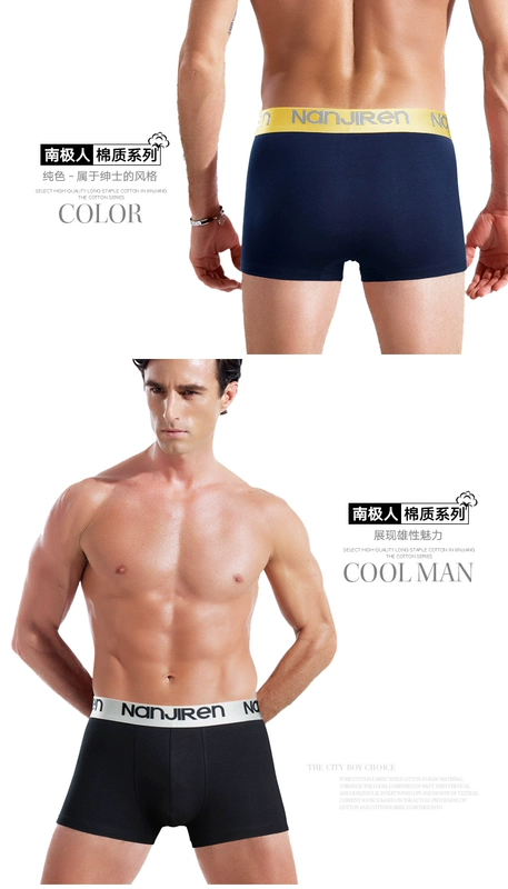 Nam Cực đồ lót nam cotton cotton mid-boxer quần trẻ trung gợi cảm nam bốn góc đồ lót cotton lỏng kích thước lớn quần short