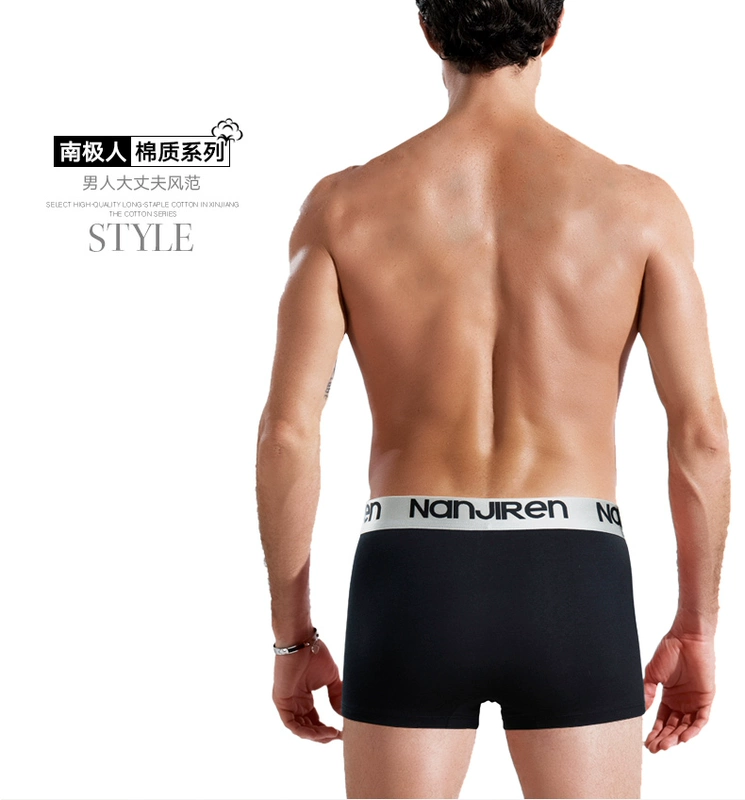 Nam Cực đồ lót nam cotton cotton mid-boxer quần trẻ trung gợi cảm nam bốn góc đồ lót cotton lỏng kích thước lớn quần short