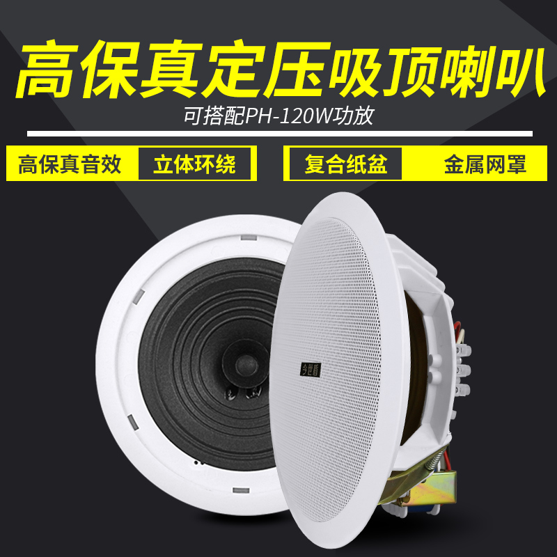 Constant Pressure Suction Top Horn Flush Type Acoustic Suspension Ceiling Ceiling Ceiling Sound Box Public Broadcasting Shop Supermarket Background Music