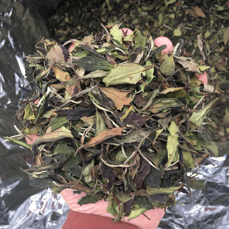 2023 White Peony Loose Tea 500g, Light Fragrance and Sweet Aftertaste, Sun-Dried White Peony White Tea, Loose Leaf Tea, Durable and Suitable for Brewing, Fuding