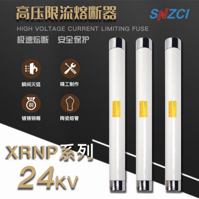 Songzhika high voltage current limiting fuse XRNP1-24KV 0 2 0 5 1 2 3 15A fuse tube