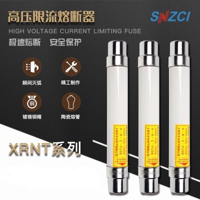 Pine card XRNT-24KV 6 3A20A40A50A100A High Breaking Ability High Pressure Limited Flow Fuse