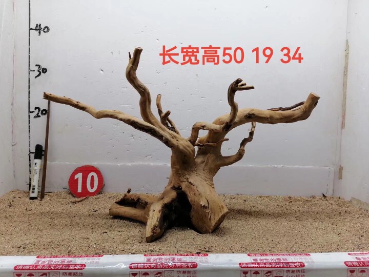 Rhododendron Root Aquascaping Materials, Single Tree Feature for Aquatic and Terrestrial Tanks, Rainforest Tank Driftwood, Tree-Shaped Moss, Tree Skeleton, Aquatic Plants