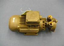 German BRINKMANN PUMPS water pump KC45 KC60-U012 195