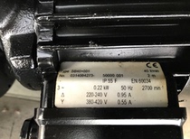 Germany BRINKMANN PUMPS pump SB40 001