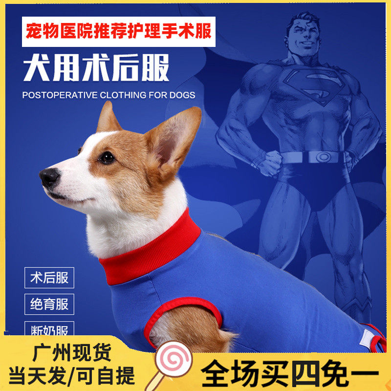 公狗狗绝育服母狗断奶服术后保护皮肤病防舔伤口透气手术服护理服