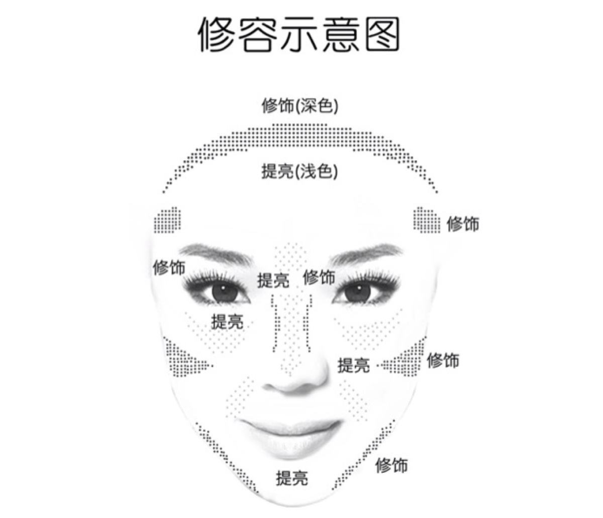 Spot Nhật Bản CEZANNE Qian Li bóng đèn cao năng lực sửa chữa thanh nổi bật tự nhiên năng lực sửa chữa đường viền ba chiều tạo khối mặt