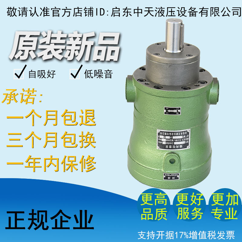 Manufacturer direct selling quality high efficiency low noise 40MCY 40MCY14-1B Qidong plunger pump