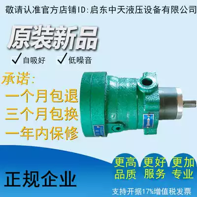 Factory direct sales of high quality, high efficiency and low noise 2 5MCY 2 5MCY14-1B Qidong oil pump