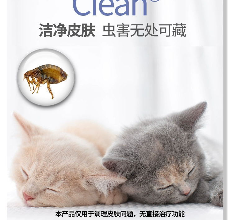 Pet giặt khô bột mở nút xịt mèo shun giải pháp chăm sóc tóc mèo xanh Mèo con có sẵn trong vòng 3 tháng - Phụ kiện chăm sóc mắt mua dung dịch vệ sinh giày