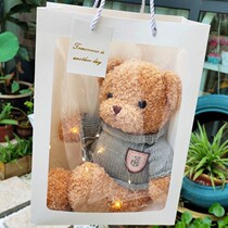 Small Bear Paparazzi Pillow Doll Cloth Doll Girl Plush Toys Children Bestie Valentines Birthday Presents Girls