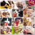 Jane Cat Snacks Meow Sauce Kissing Kittens Liquid Cat Strips Nhập khẩu Cat Snacks Thức ăn ướt Mèo sọc Mèo đóng hộp 16 - Đồ ăn nhẹ cho mèo