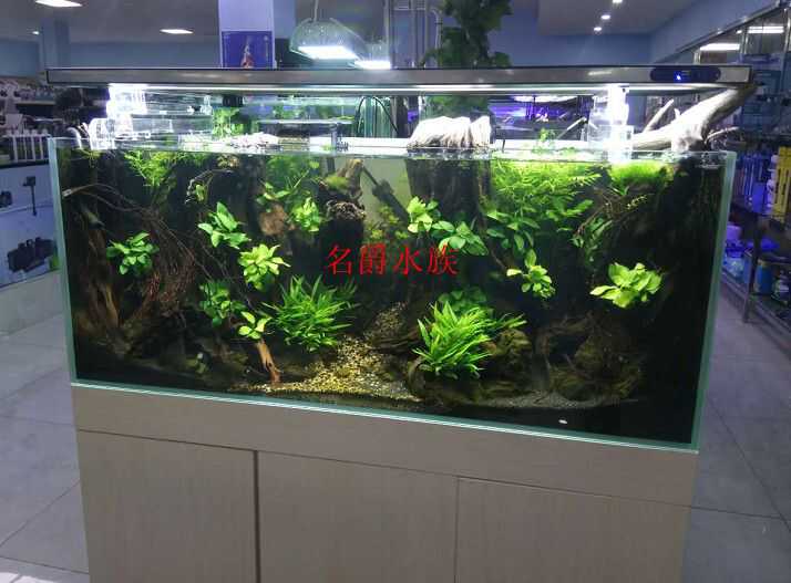 南风ck系列wifi智能t5ho灯盘水草缸海缸养殖照明灯具自动定时 南风ck系列wifi智能t5ho灯盘水草缸海缸养殖照明灯具自动定时