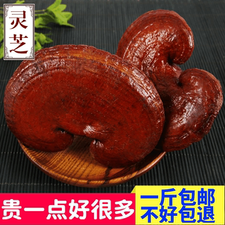 New Changbai Mountain Purple Ganoderma half Ganoderma lucidum slices Linzhi specialty 500g wholesale Ganoderma lucidum pieces