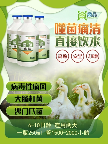 Профилактика боли в фаге для предотвращения подагри, вакцины против питьевой воды для получения антител, быстрого раствора для отступления и не вставать