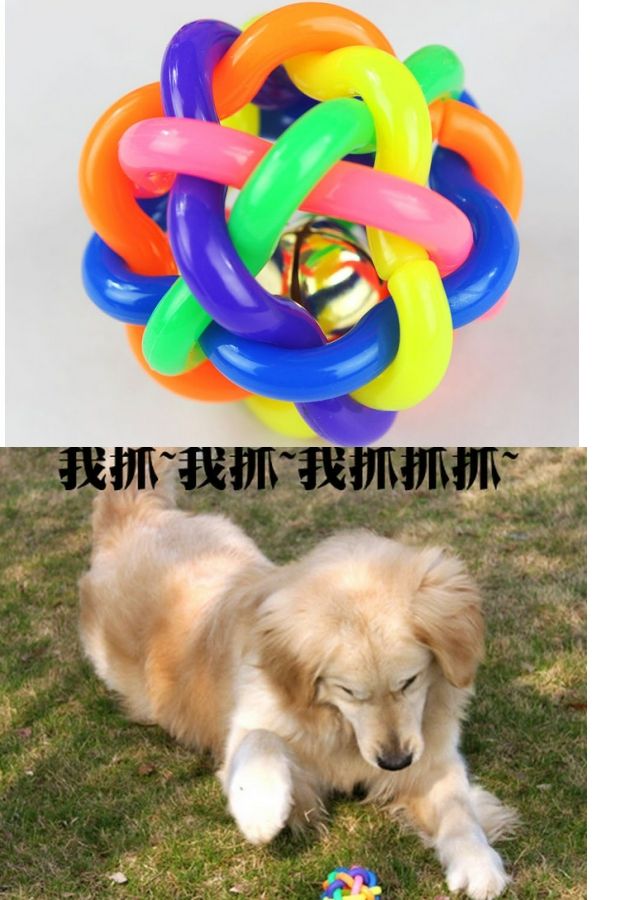 Pet đồ chơi chó cầu vồng chuông đầy màu sắc Teddy Satsuma Golden Retriever cún con mèo cắn mèo đồ chơi cho chó cảnh