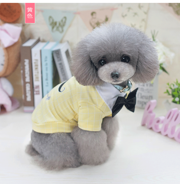 Quần áo cho chó Pet quần áo áo thun mùa xuân và mùa hè cho chó mỏng - Quần áo & phụ kiện thú cưng áo poodle